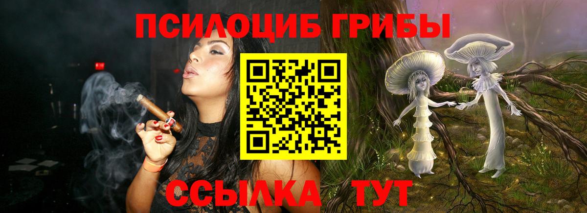 Электрогорск  Галлюциногенные грибы Magic Shrooms  Вход с VPN  Галлюциногенные грибы Magic Shrooms 